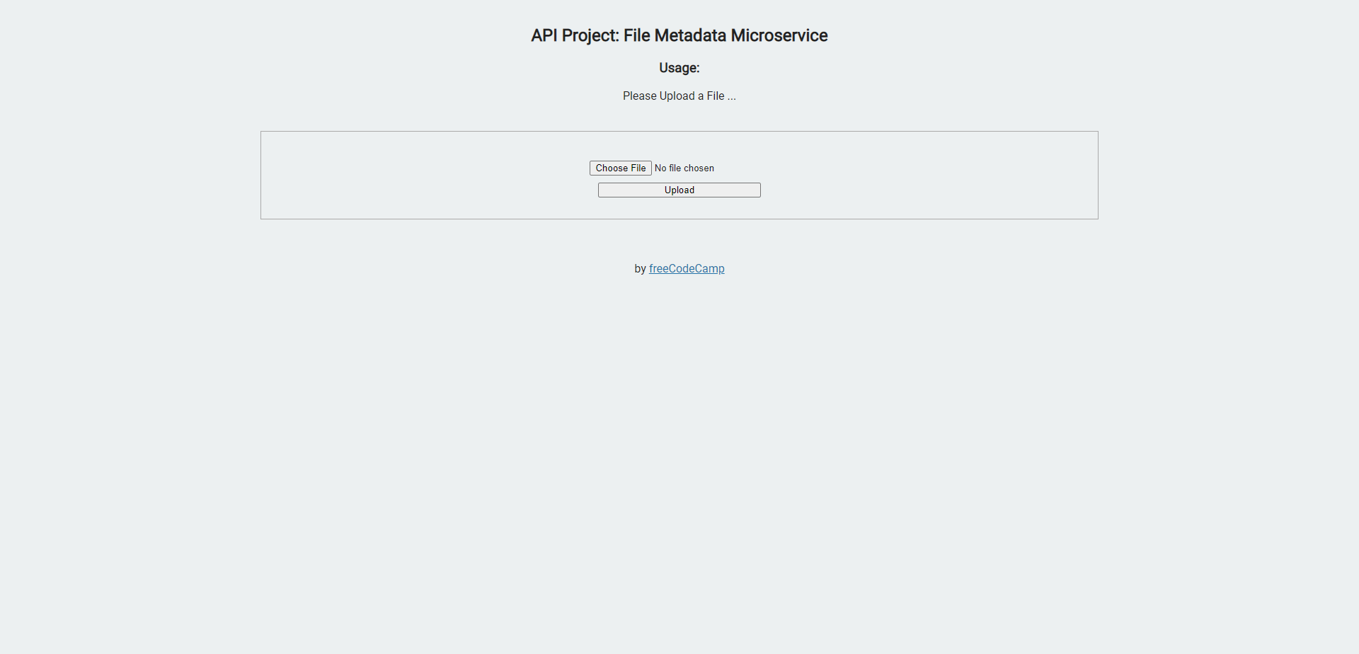 Preview of File Metadata Microservice.